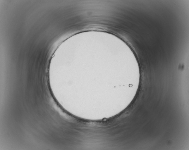 X0000111851379200909031717