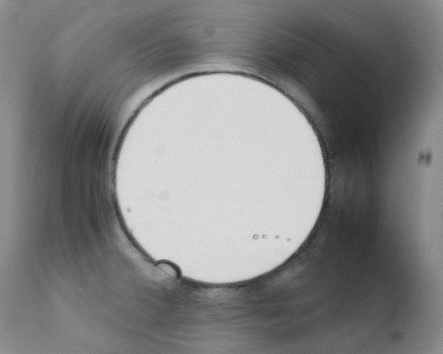 X0000111851380200909031717