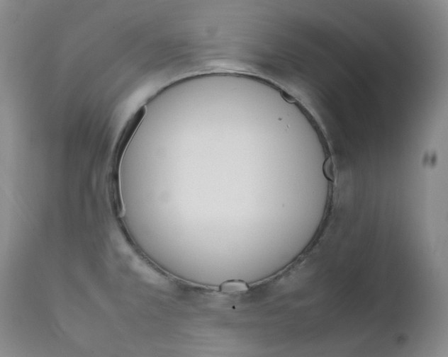 X0000111851381200909031717