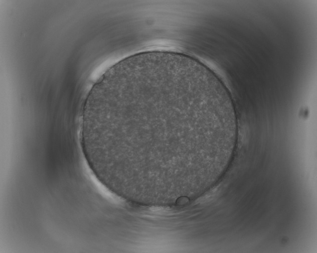X0000111851383200909031717