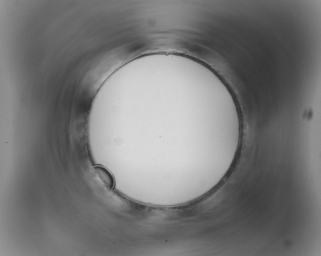 X0000111851385200909031717