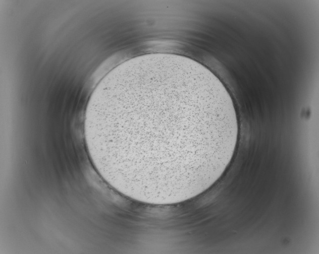 X0000111851386200909031717