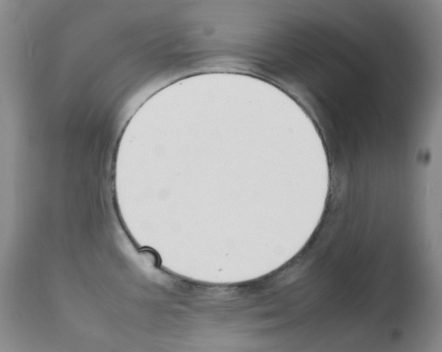 X0000111851387200909031717