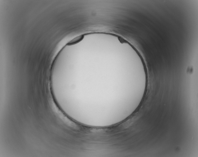 X0000111851389200909031717