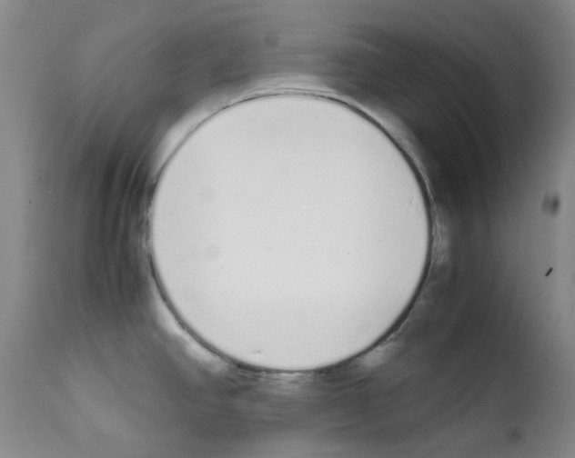 X0000111851390200909031717