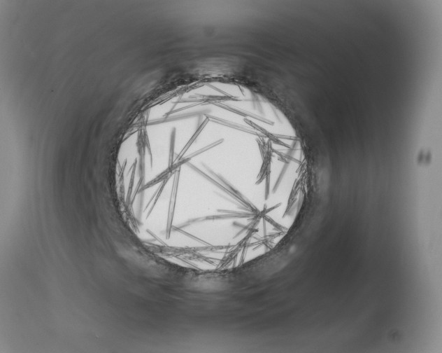 X0000111851393200909031716