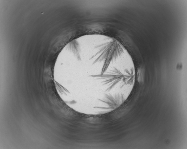 X0000111851395200909031716