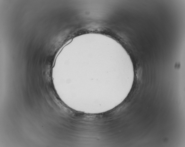 X0000111851396200909031716