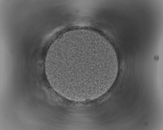 X0000111851398200909031716