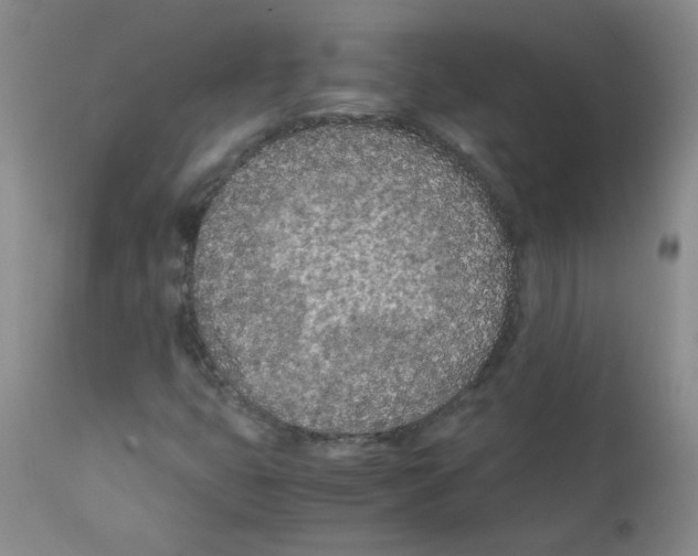 X0000111851399200909031716