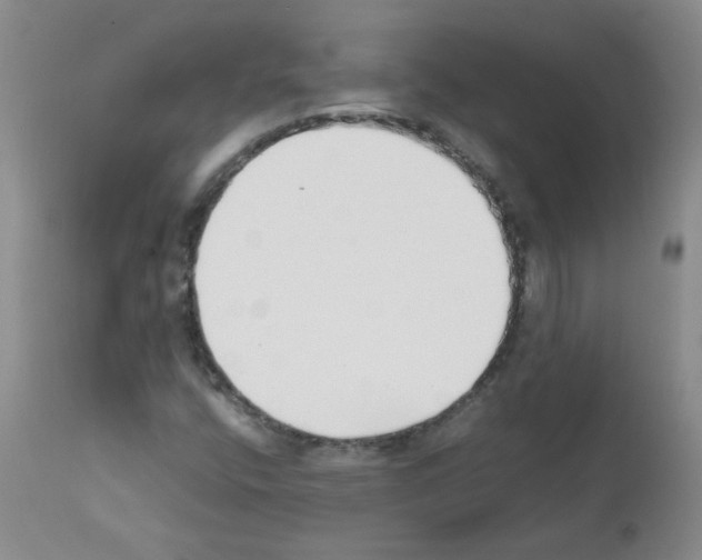 X0000111851400200909031716