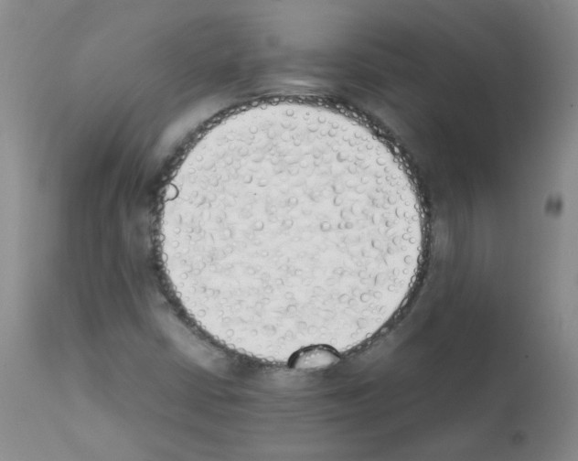 X0000111851402200909031716