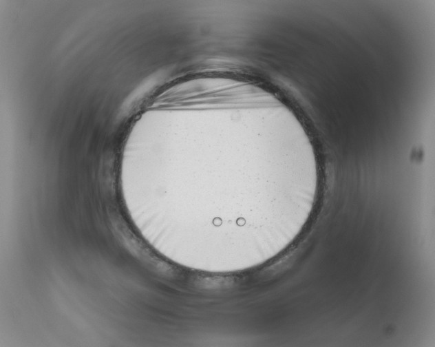 X0000111851403200909031716