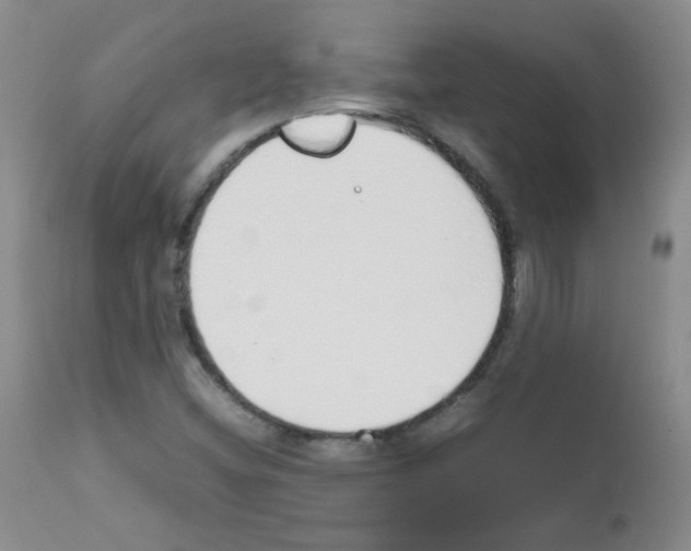 X0000111851404200909031716