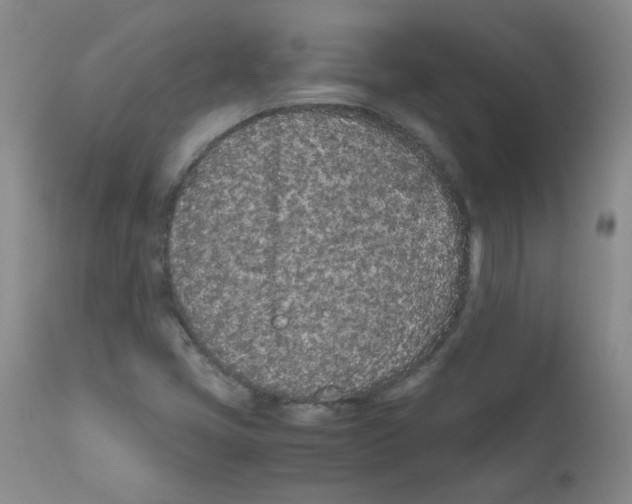 X0000111851405200909031716