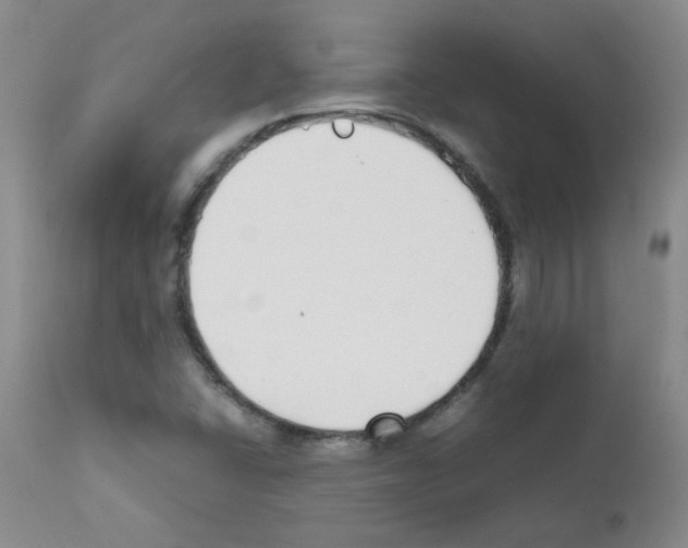 X0000111851406200909031716