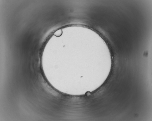 X0000111851408200909031716