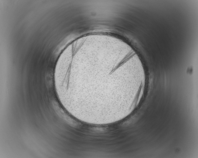 X0000111851409200909031716