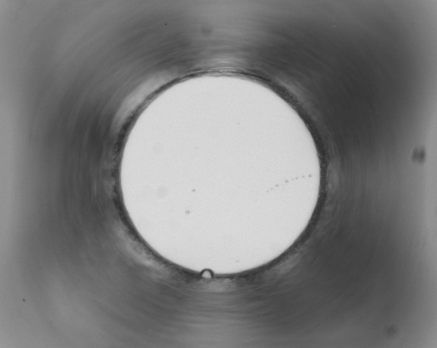 X0000111851410200909031716