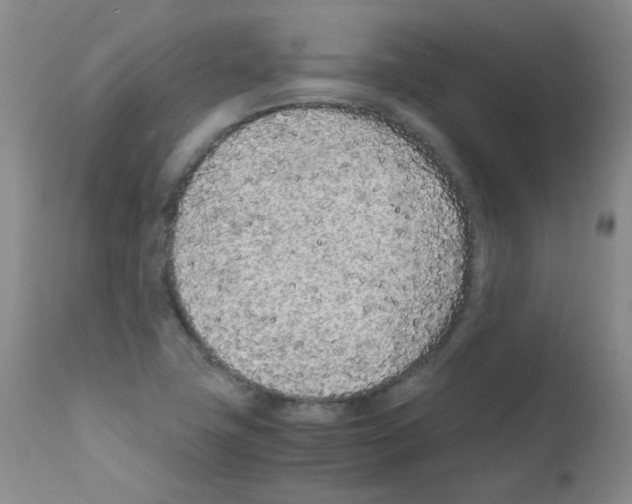 X0000111851411200909031716