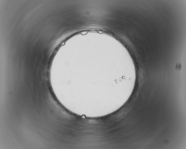 X0000111851412200909031716