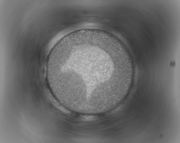 X0000111851413200909031716