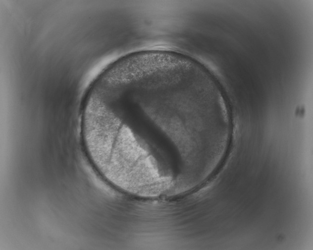 X0000111851414200909031716