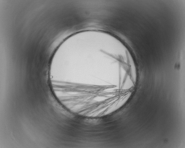 X0000111851415200909031716
