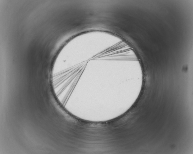 X0000111851416200909031716