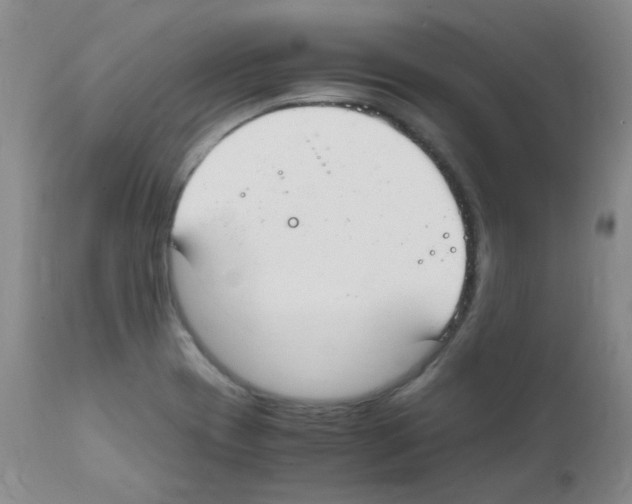 X0000111851417200909031716
