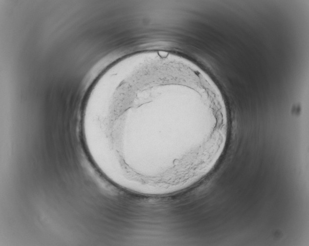 X0000111851418200909031716