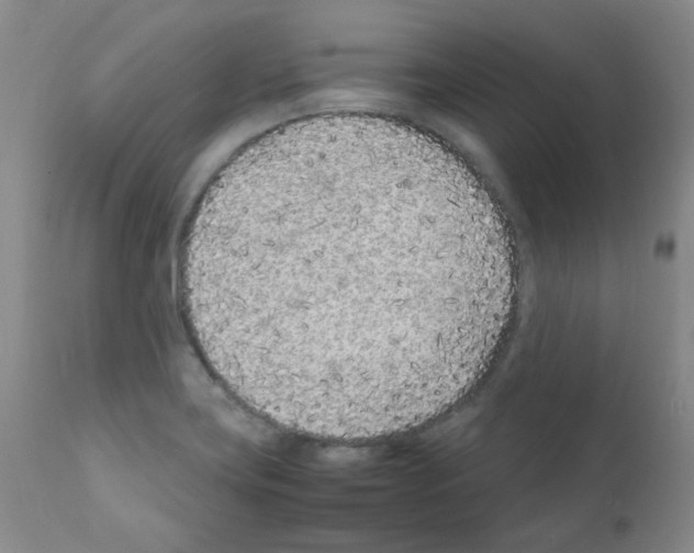 X0000111851419200909031716