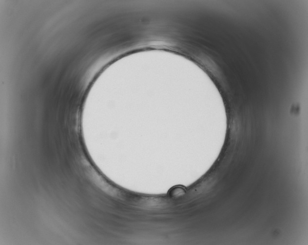 X0000111851420200909031716