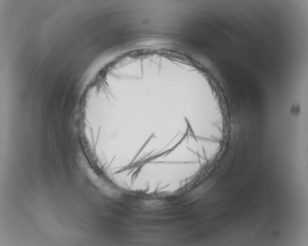 X0000111851421200909031716