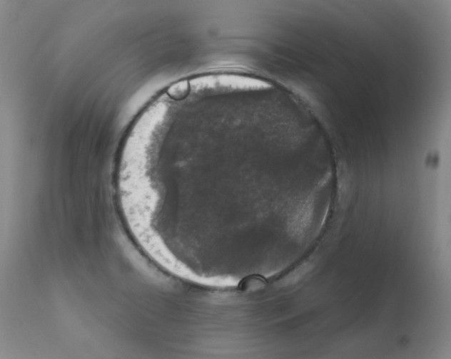 X0000111851422200909031716