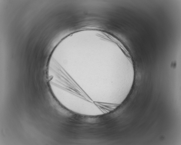 X0000111851423200909031716