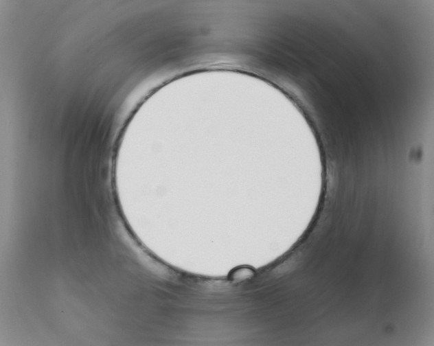 X0000111851424200909031716