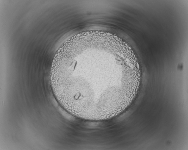 X0000111851425200909031716