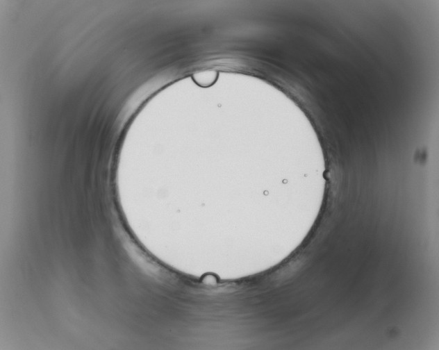 X0000111851426200909031716