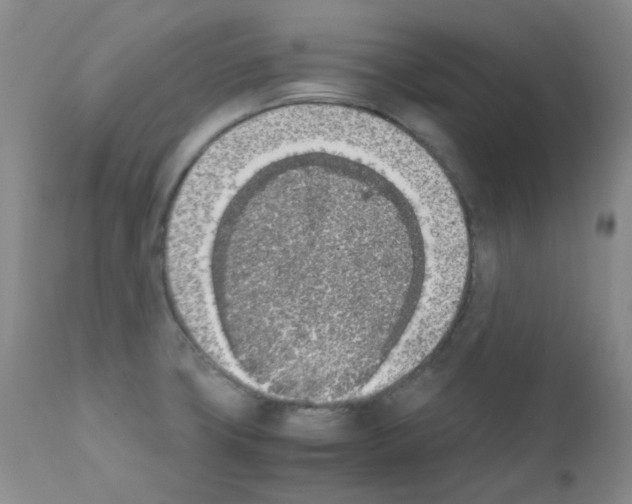 X0000111851427200909031716