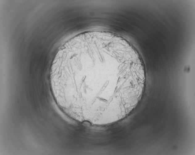 X0000111851429200909031717