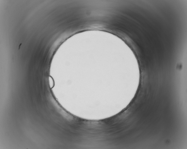 X0000111851432200909031717