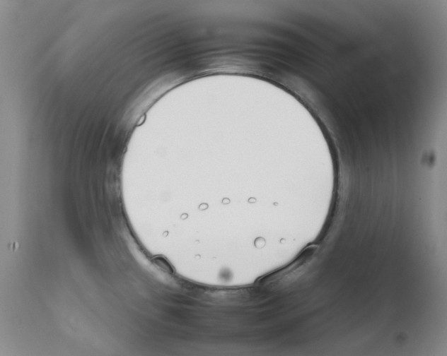 X0000111851433200909031717