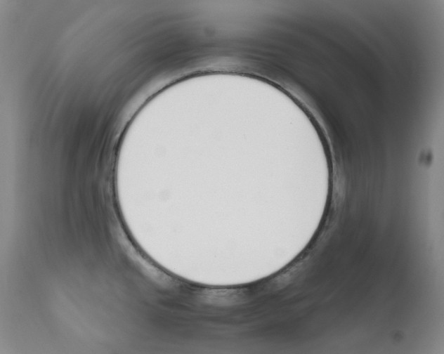 X0000111851437200909031717