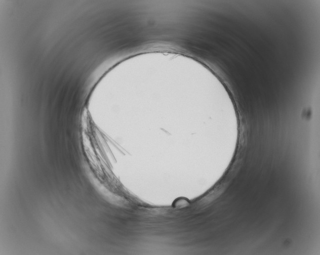 X0000111851438200909031717