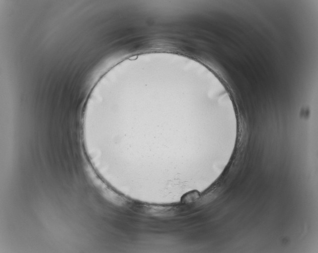 X0000111851439200909031717