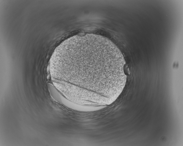 X0000111851441200909031716
