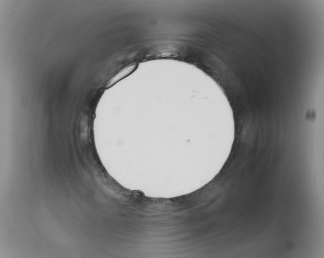 X0000111851442200909031716
