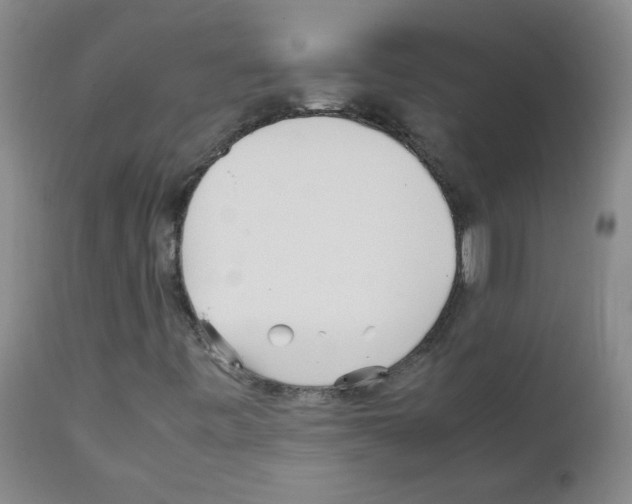 X0000111851443200909031716