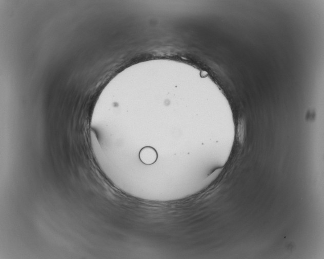 X0000111851444200909031716